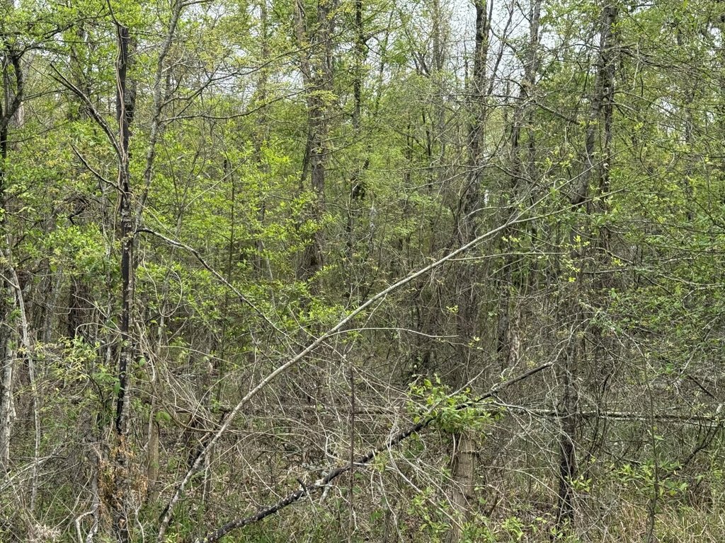 Picture 3