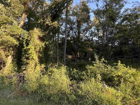 Residential Land in Gilmer, TX