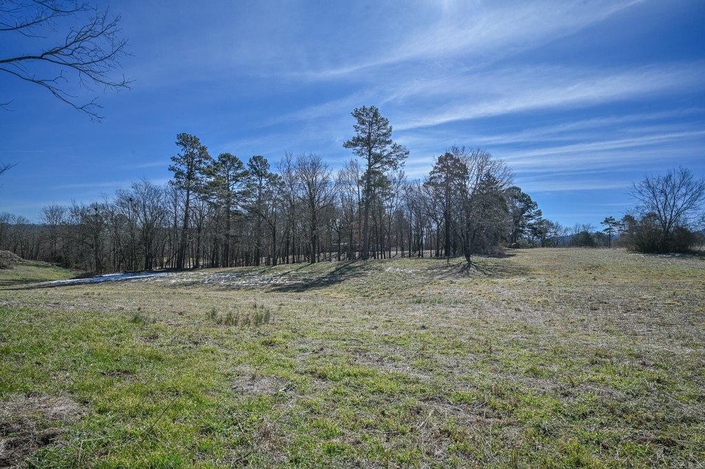 Picture 25