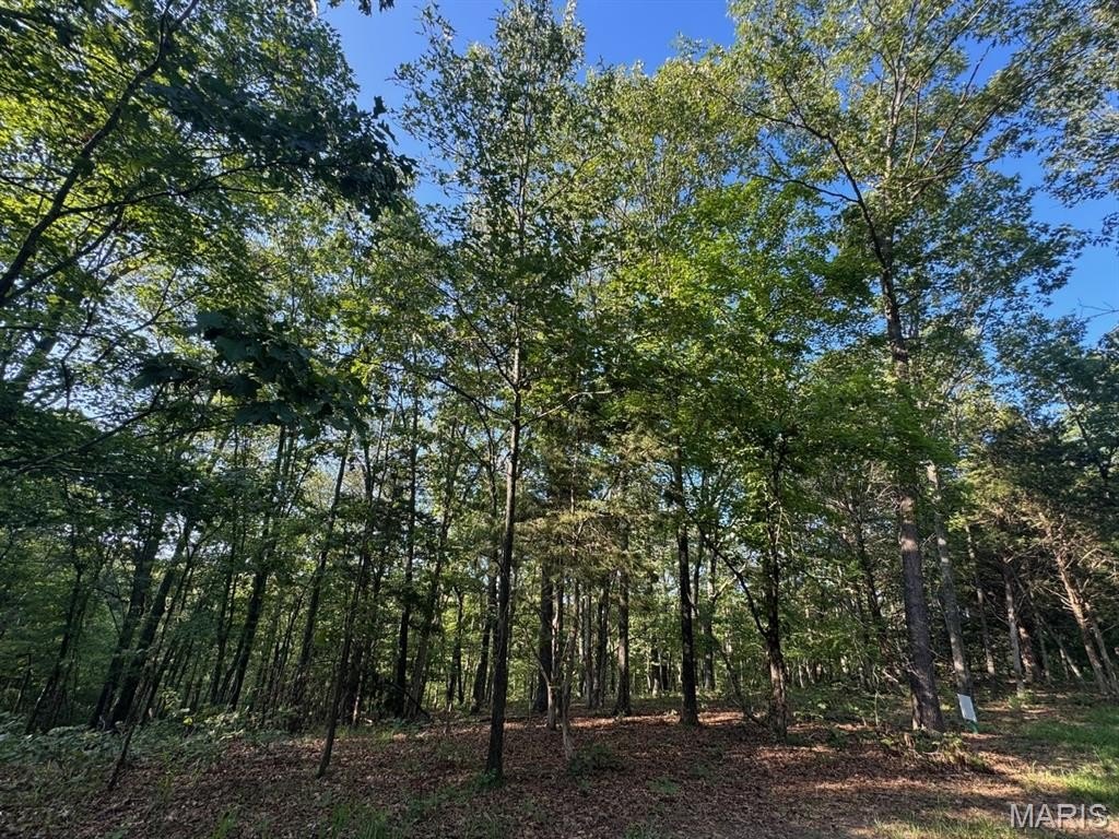 Land For Sale in Defiance