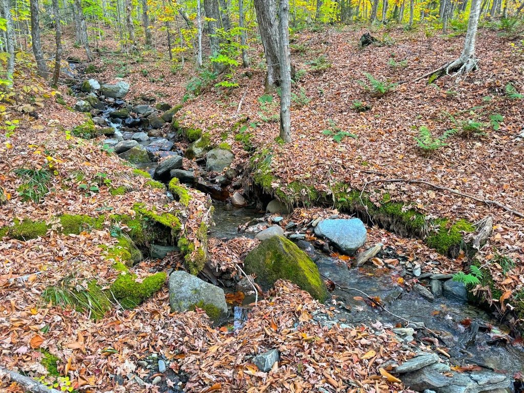 Picture 13