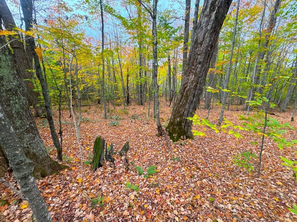 Picture 22