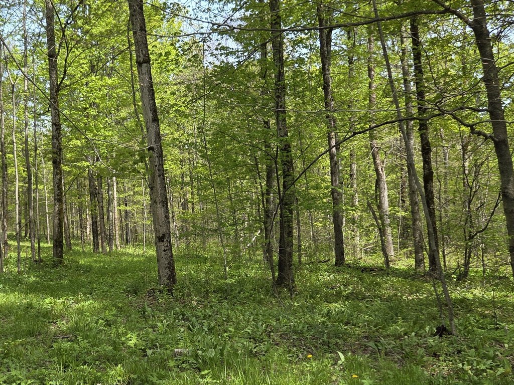 Picture 20