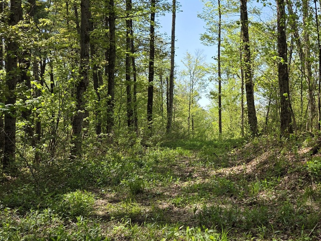 Picture 17