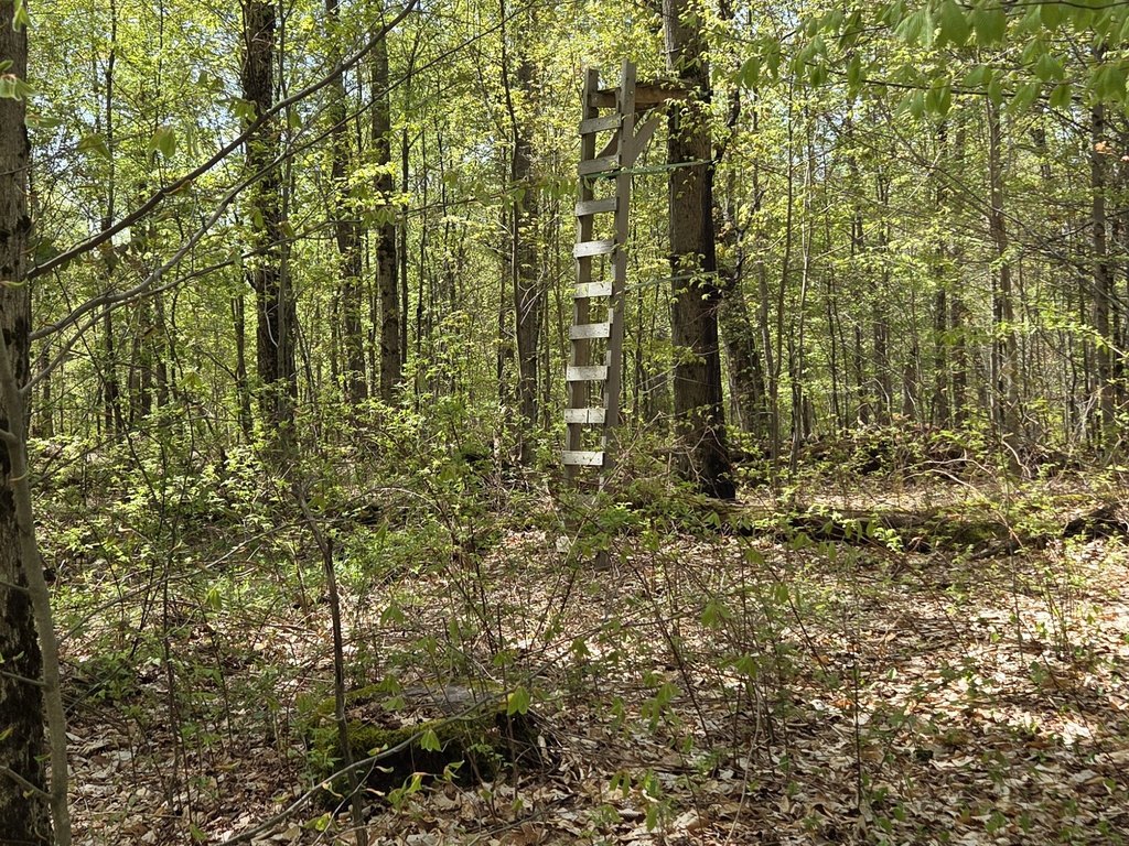 Picture 13