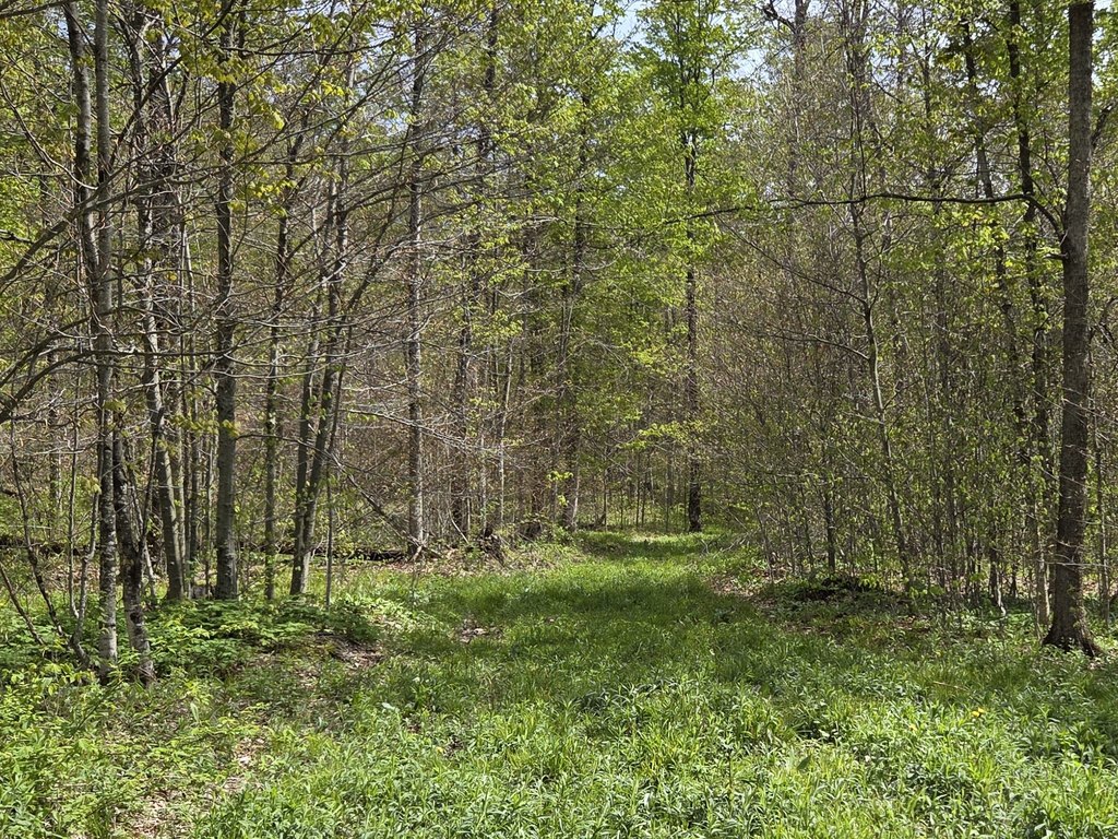 Picture 22
