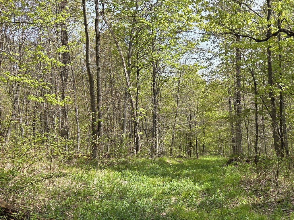 Picture 29