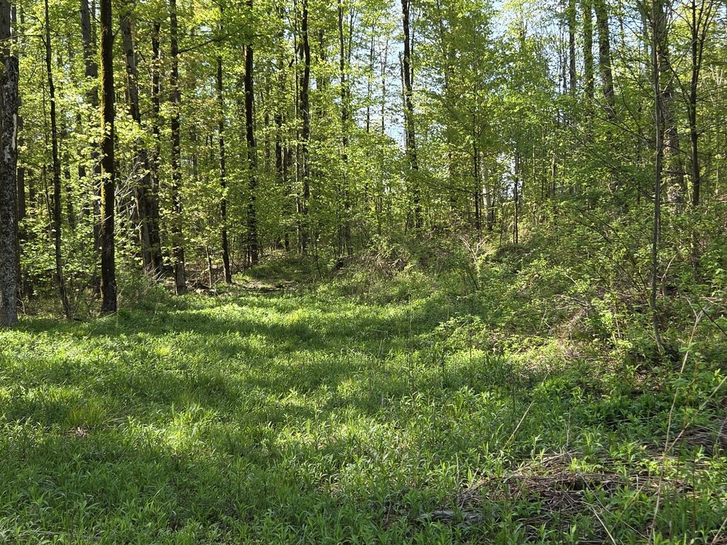 Picture 12