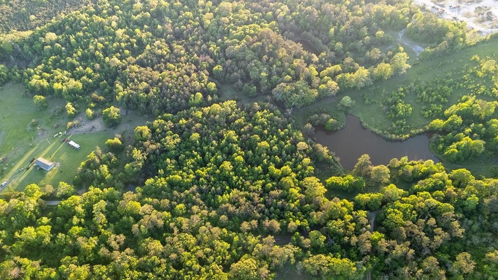 Timpson, TX Wooded Land Tract