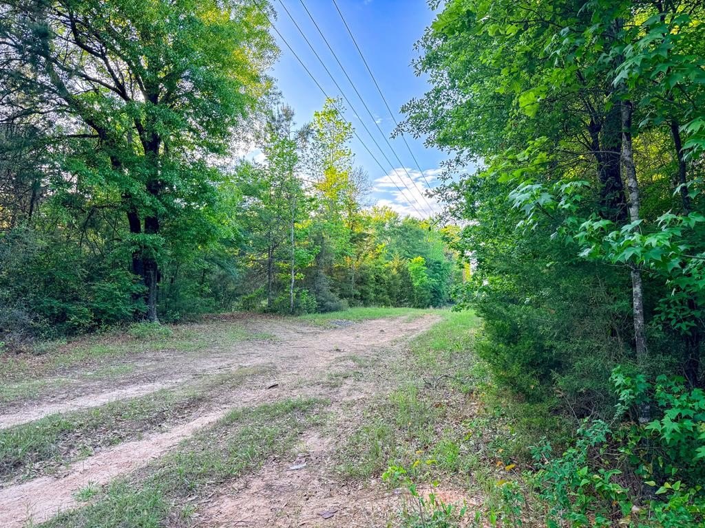 Picture 25