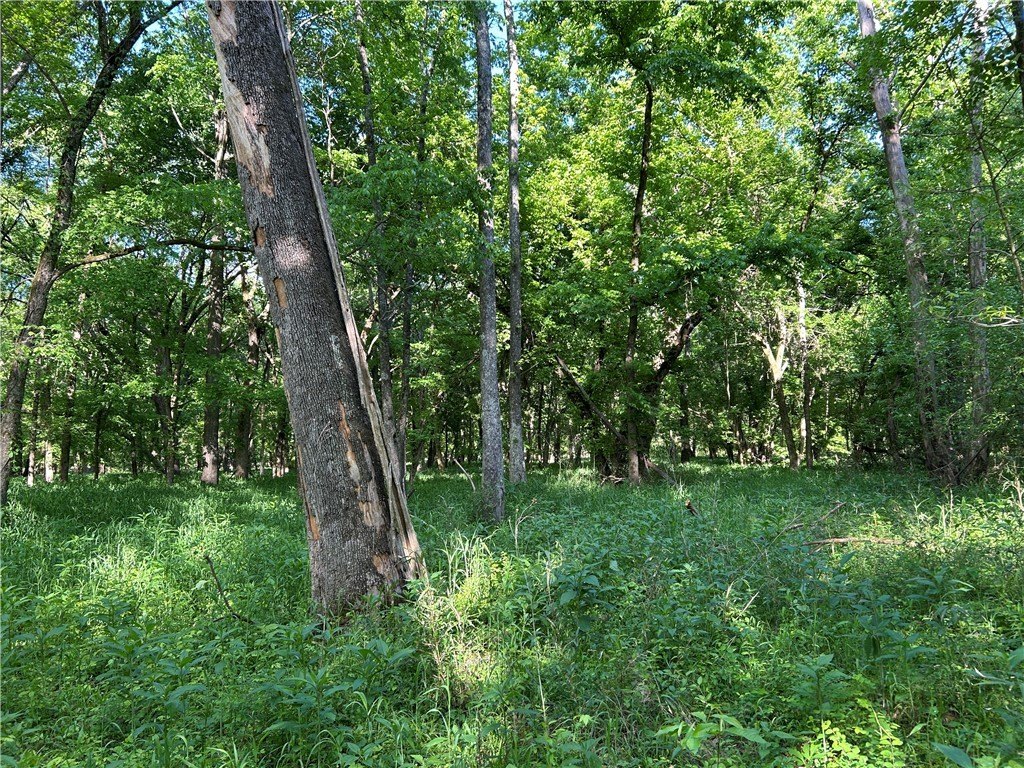 Picture 30