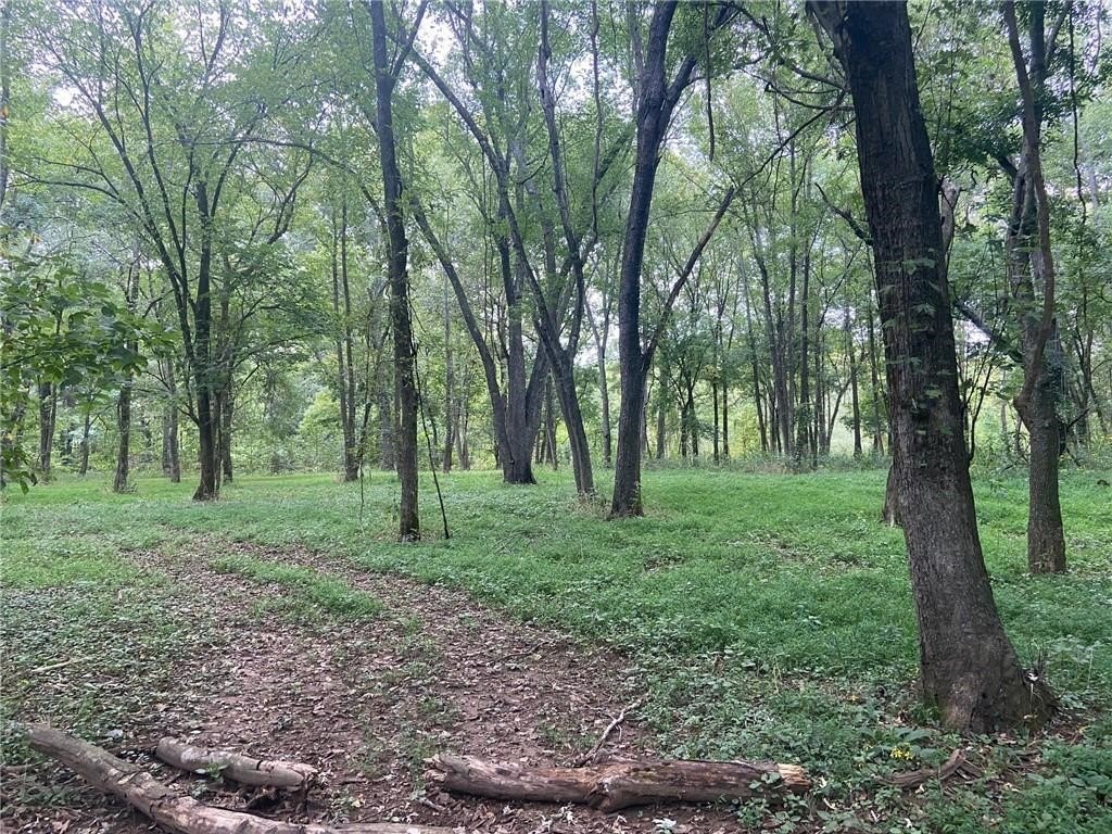 Picture 23