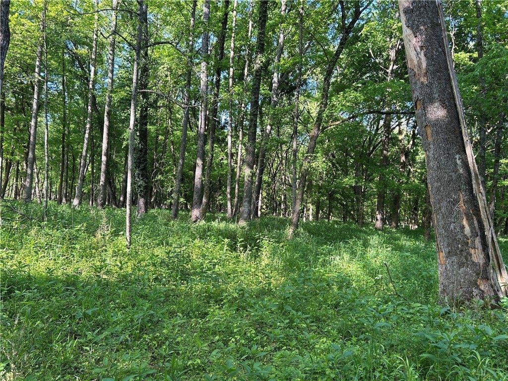 Picture 31
