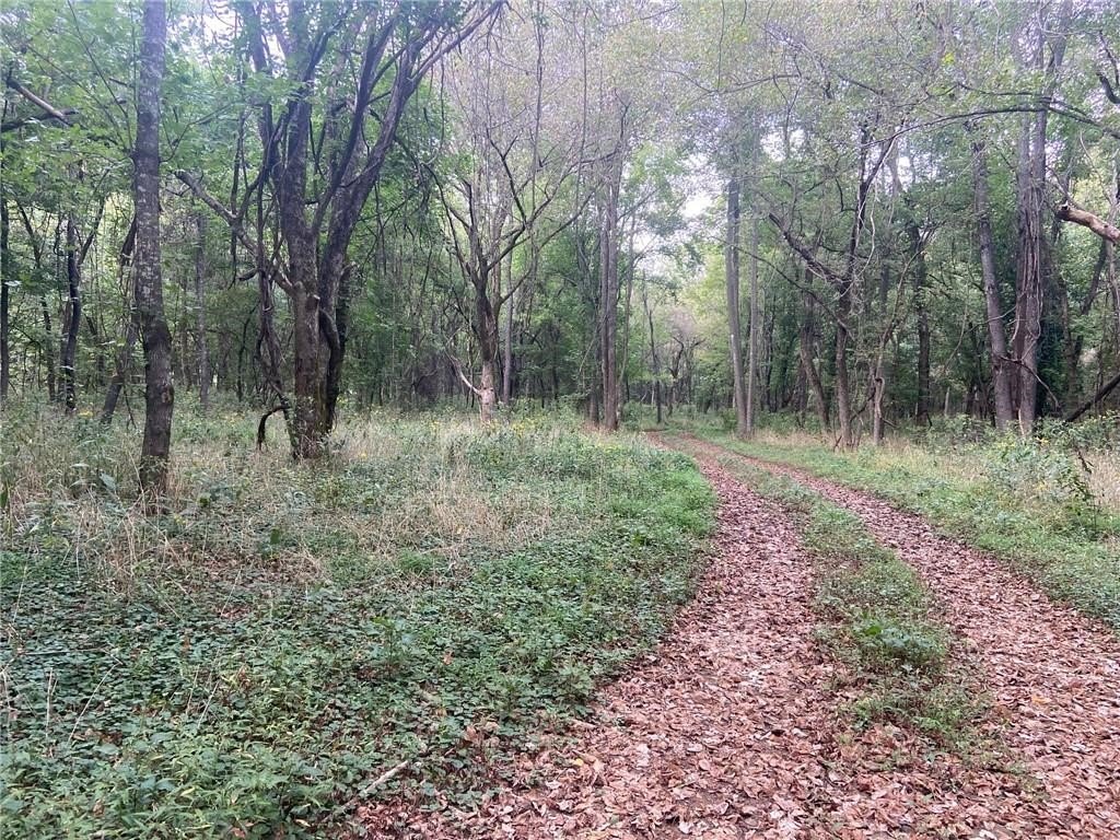 Picture 21