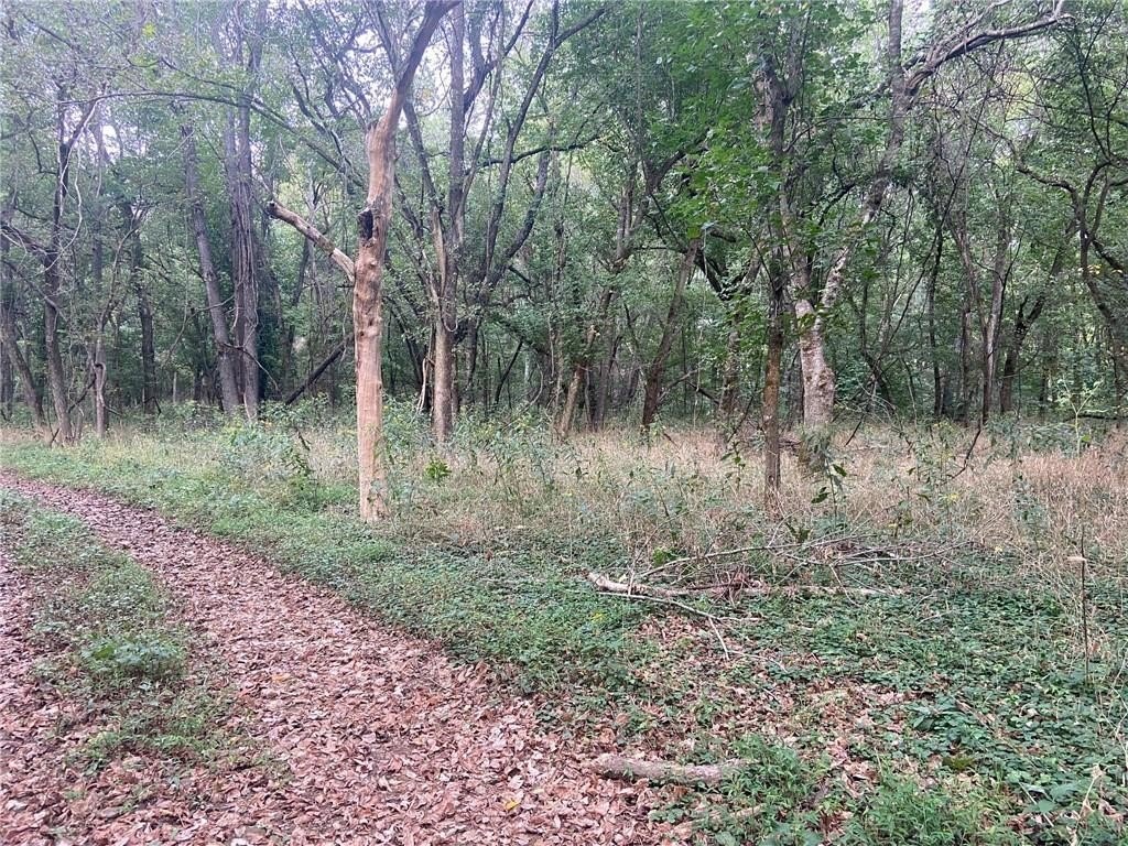 Picture 22