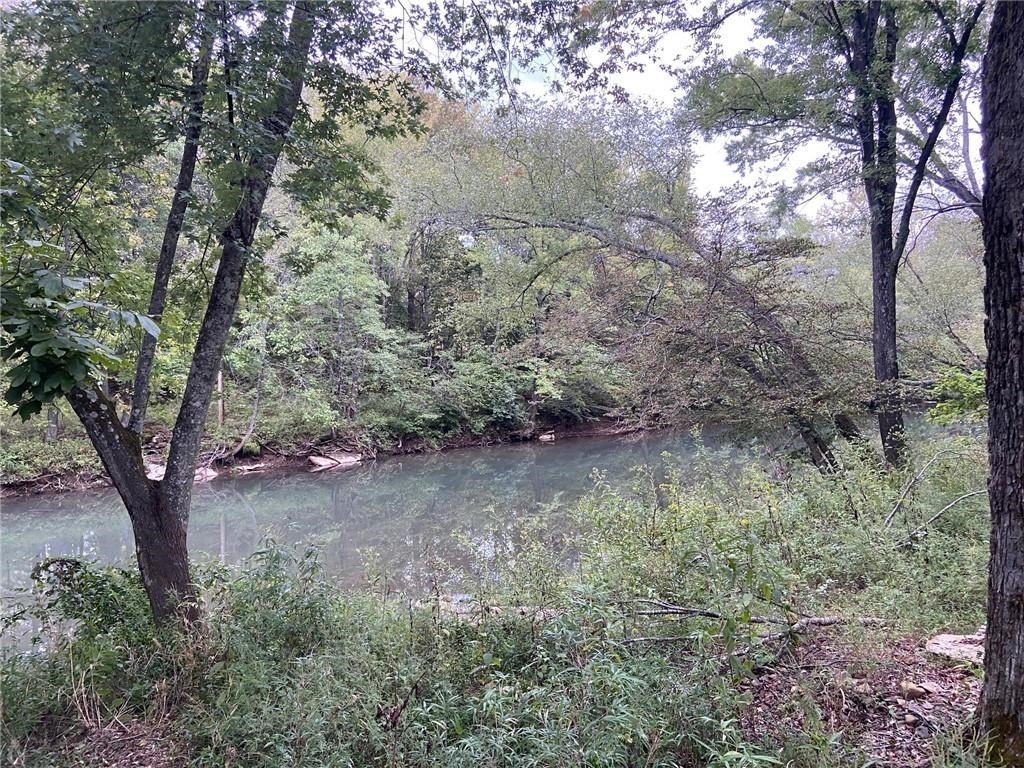 Picture 27