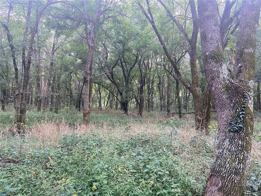 Picture 19