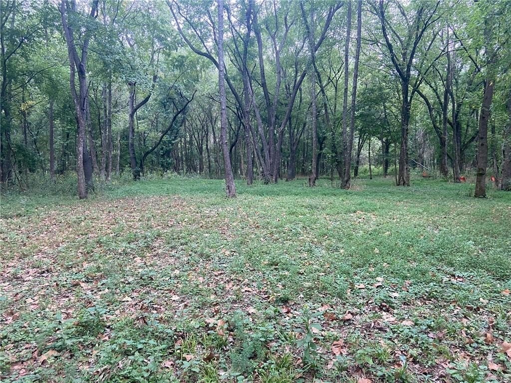Picture 25