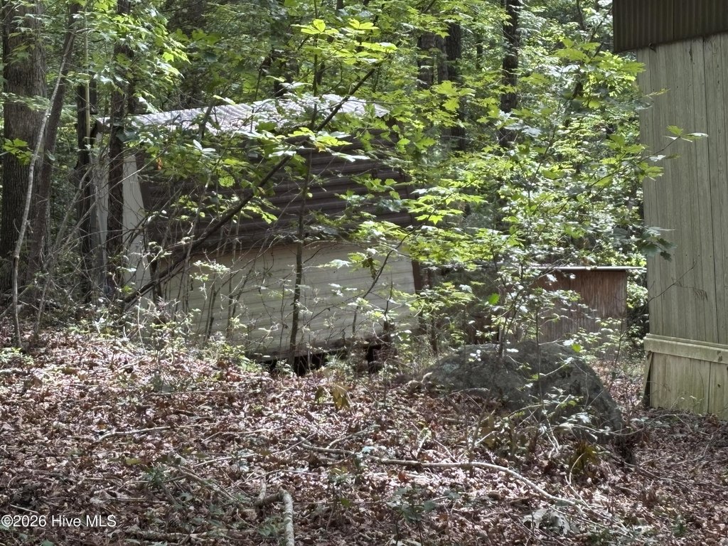 Picture 3