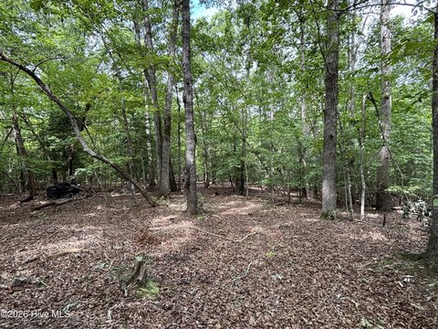 Land, Troy, NC