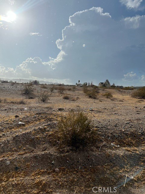 Picture 2