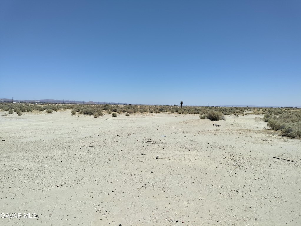 Picture 5