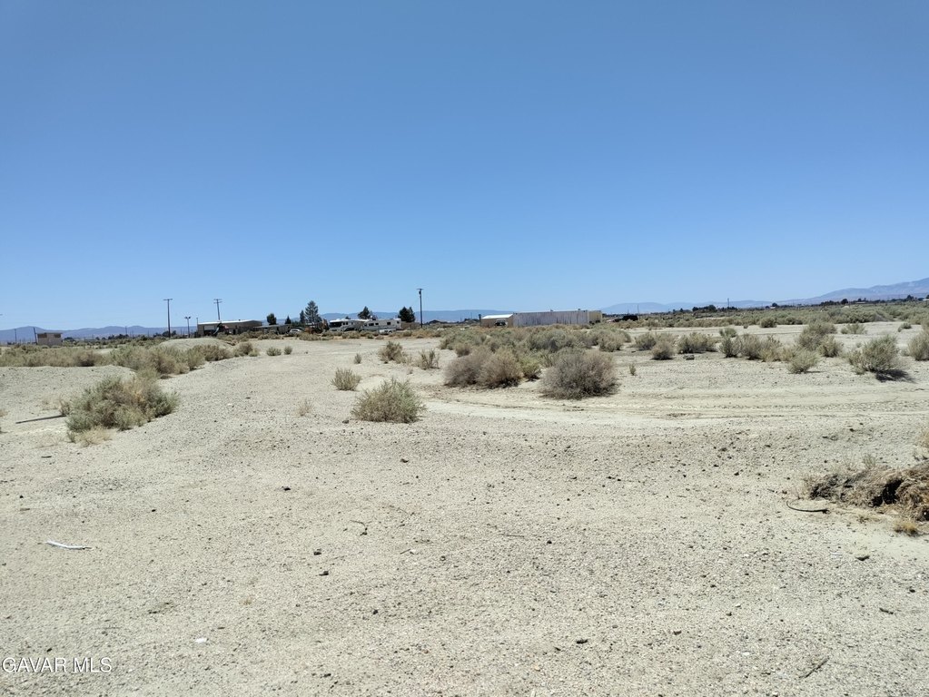 Picture 4