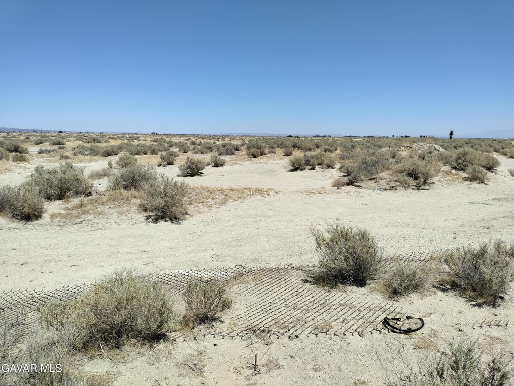 Picture 6