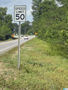 LAND - BLOUNTSVILLE, AL