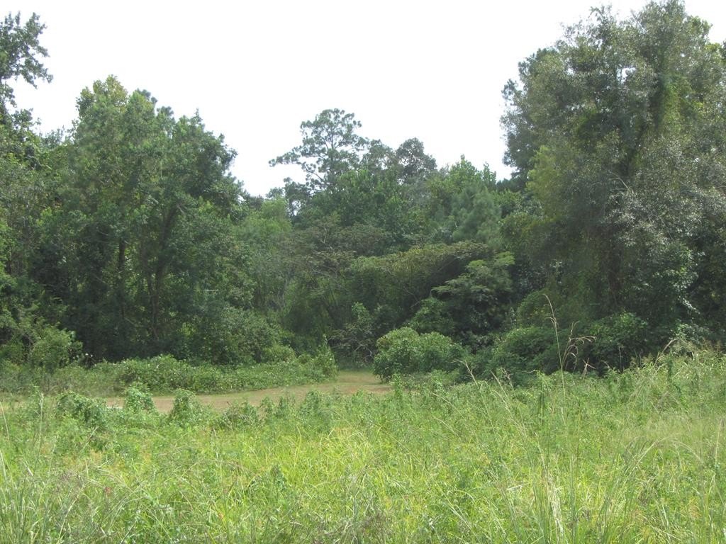 Picayune Commercial Land For Sale
