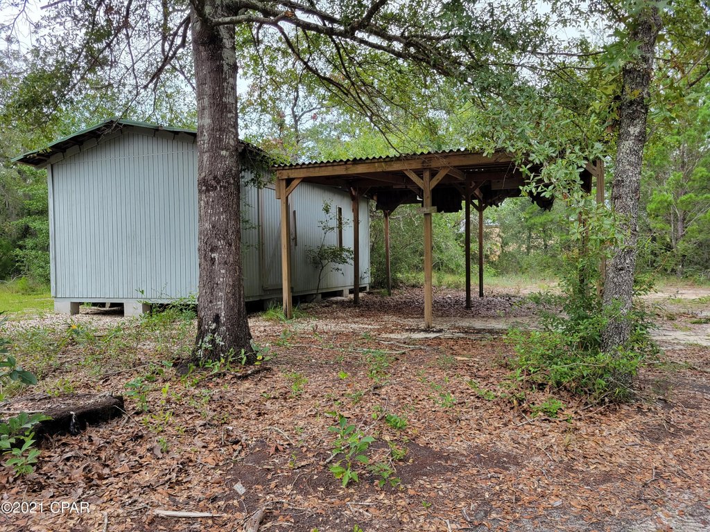 Picture 6