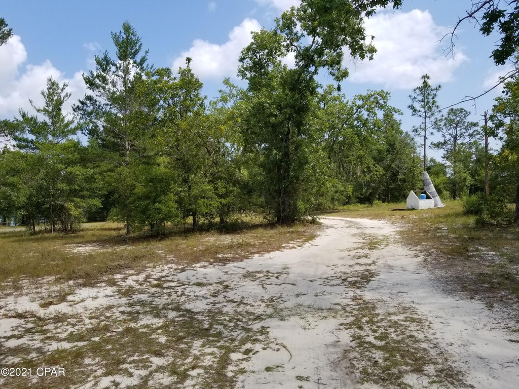 Picture 23