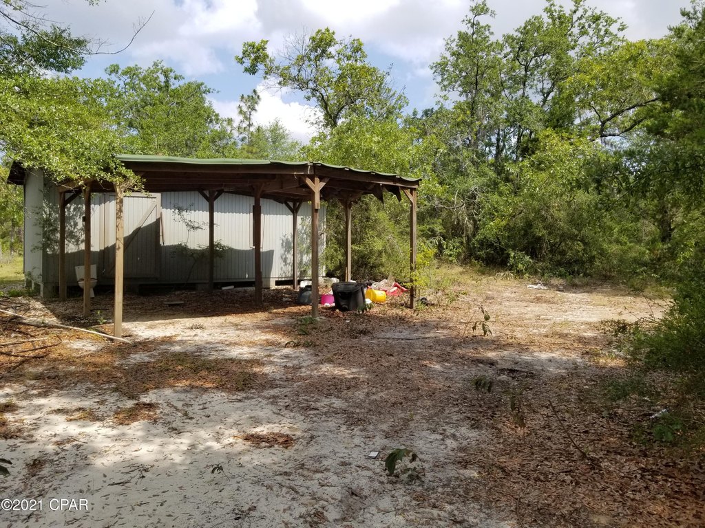 Picture 5