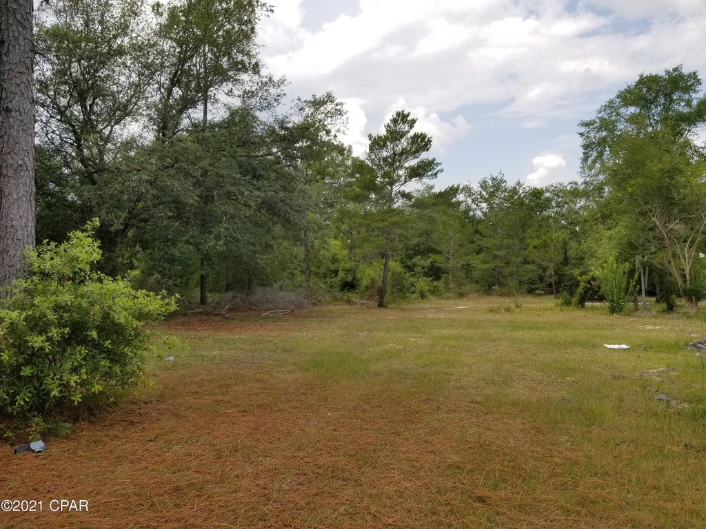 Picture 22