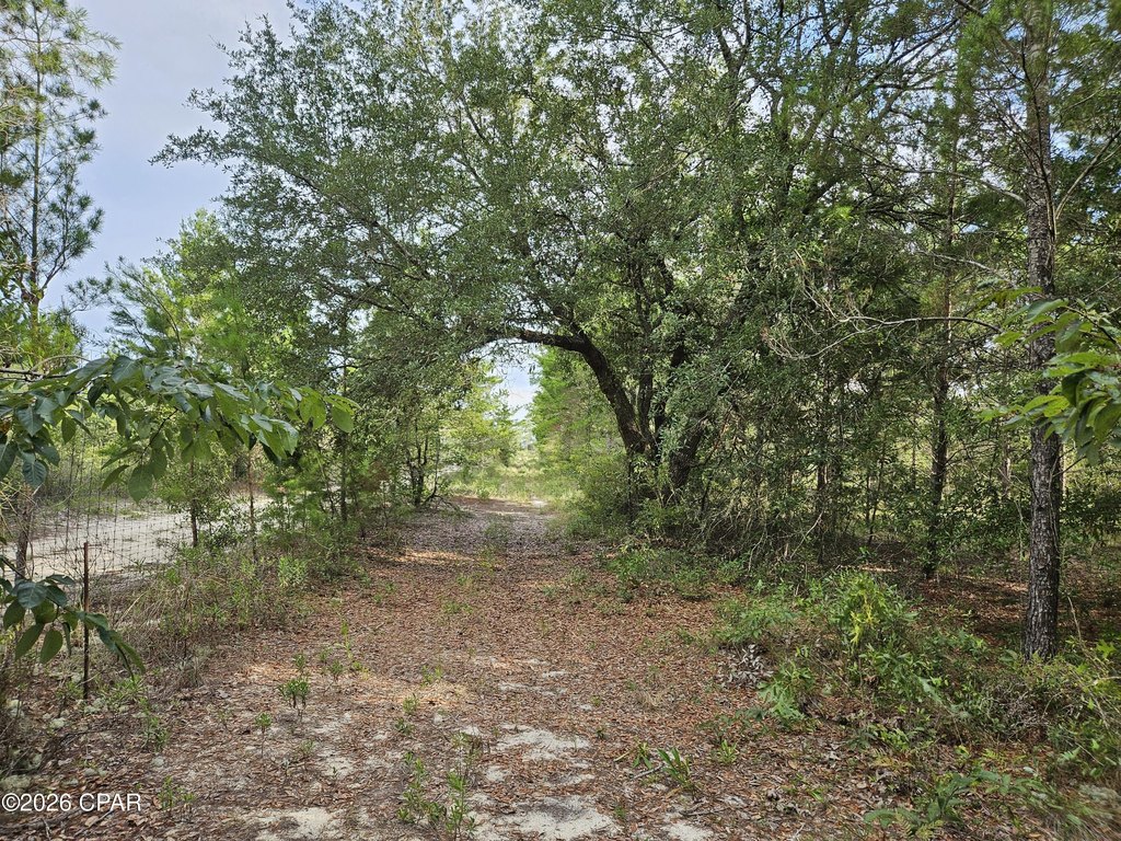 Picture 28