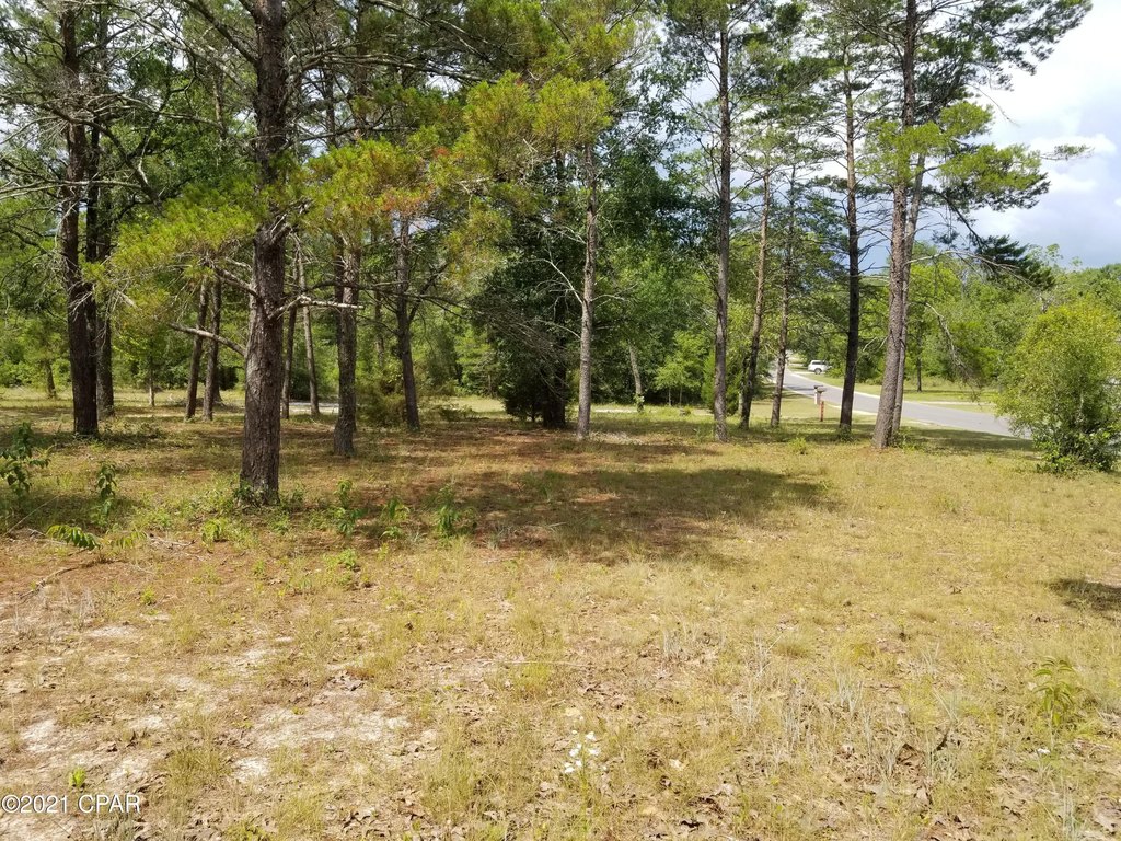 Picture 25