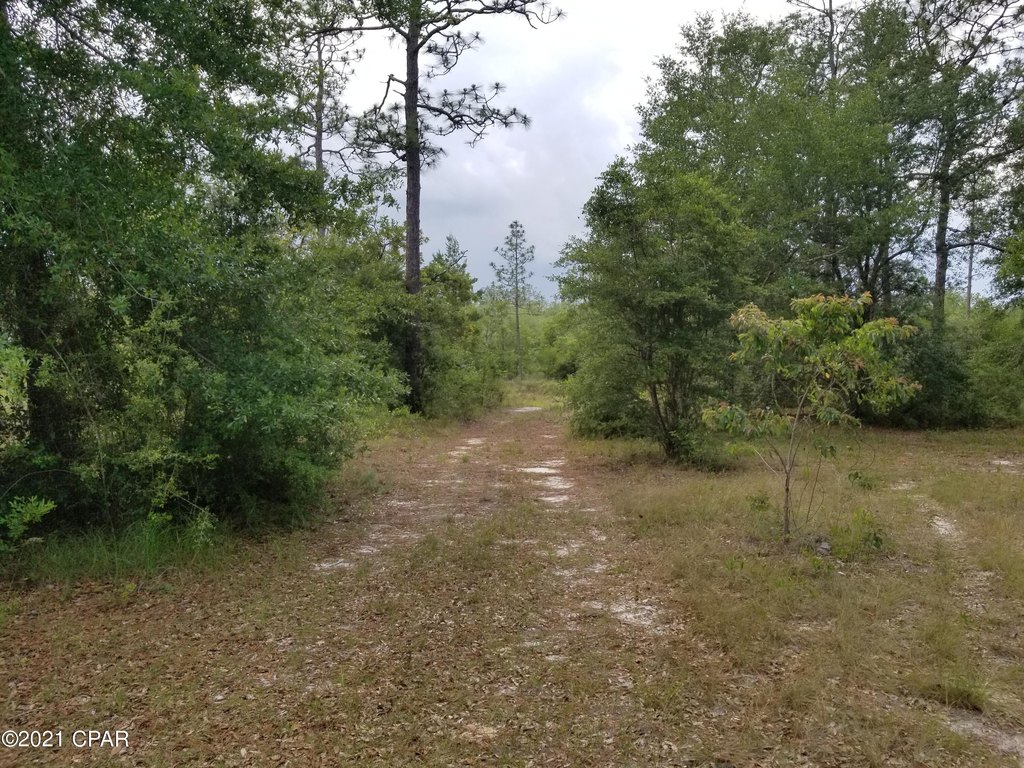 Picture 19