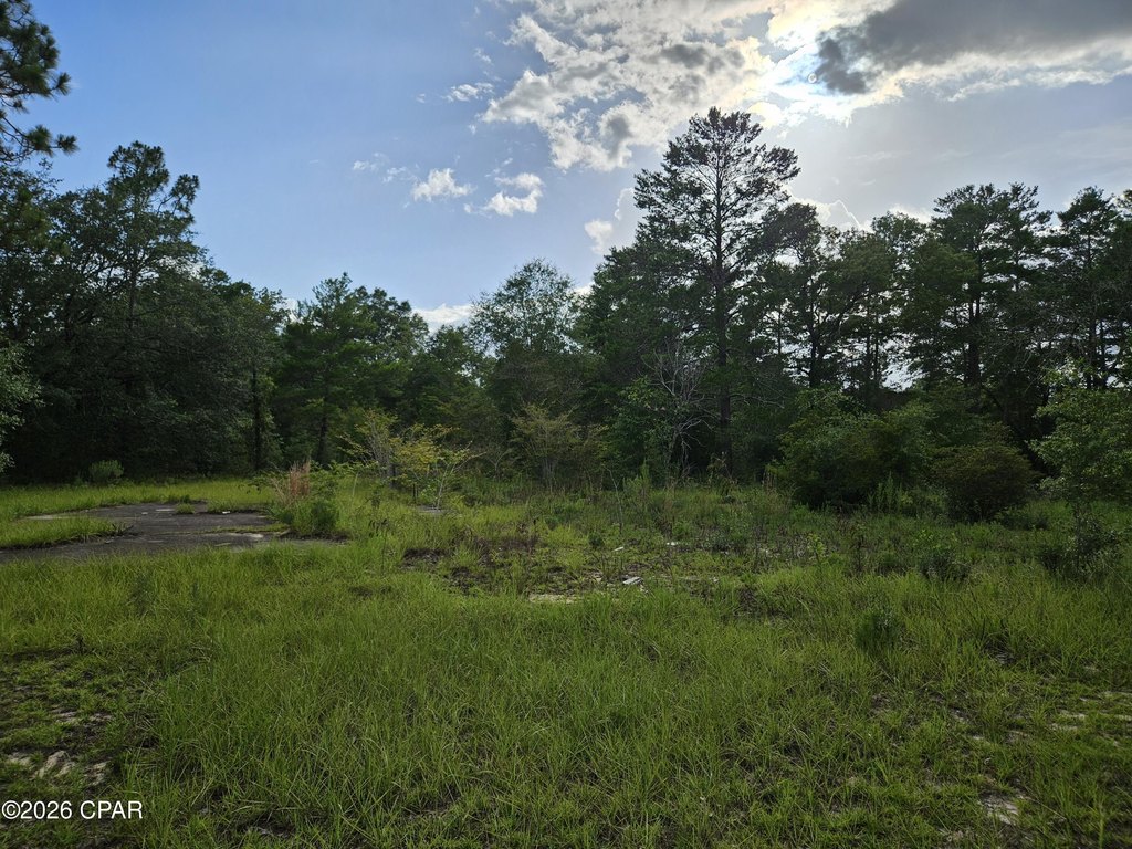 Picture 27