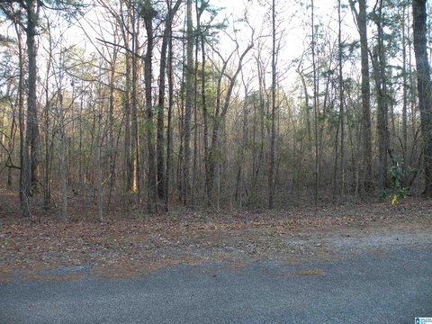 LAND - CHILDERSBURG, AL