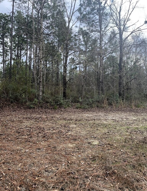 Picture 48