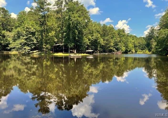 390 Acres in Northport, Alabama