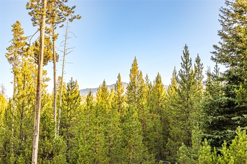 Montana Land with Mountain Views