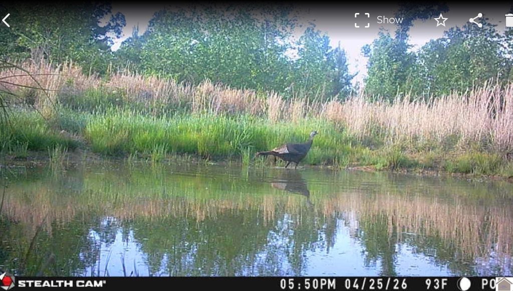 Picture 3