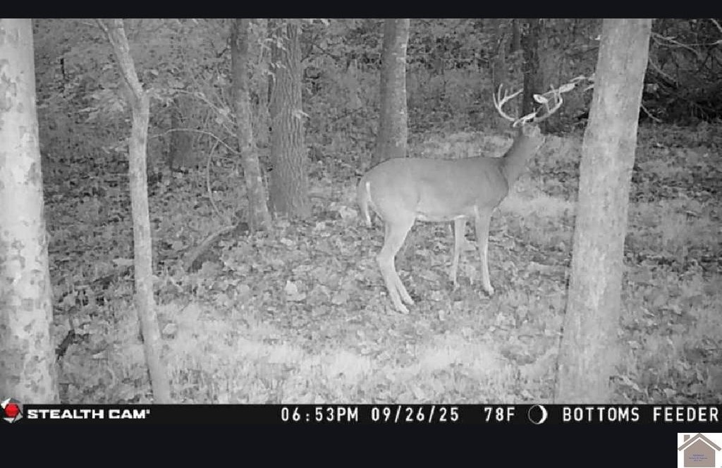 Picture 2