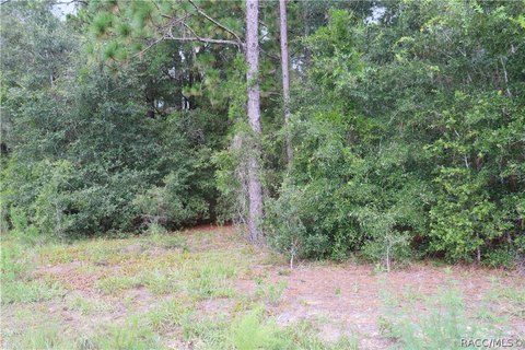 Land, Dunnellon, FL