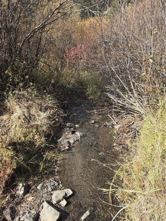 Picture 9