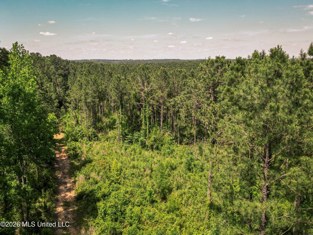 Picture 33