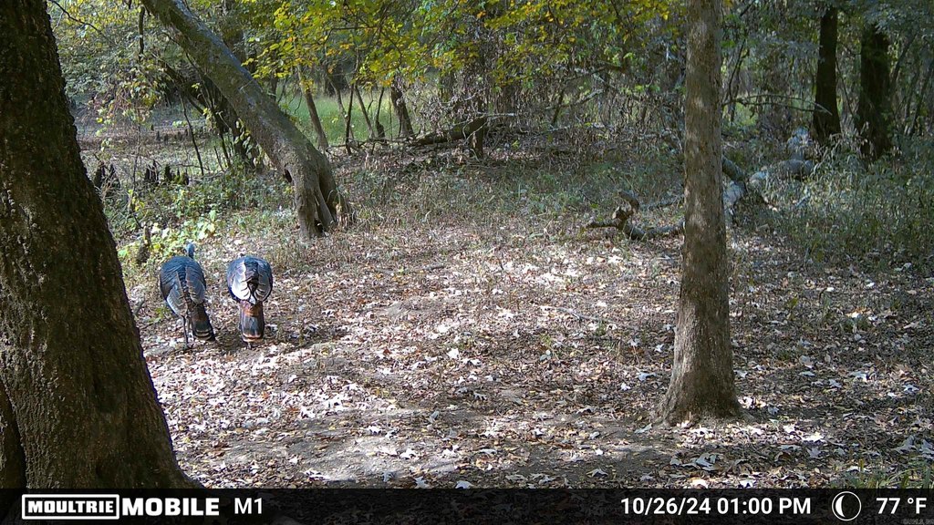 Picture 2