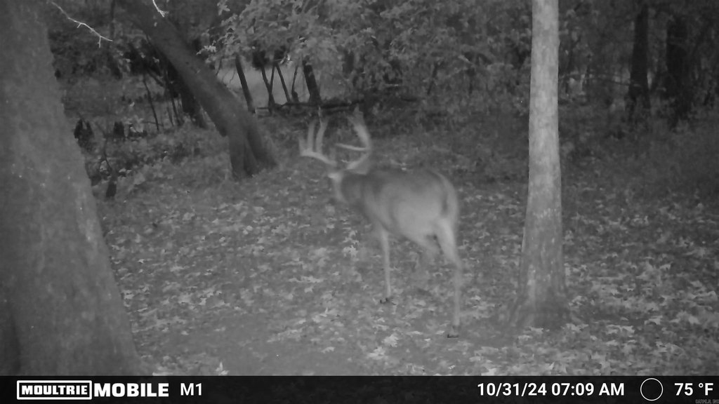 Picture 3