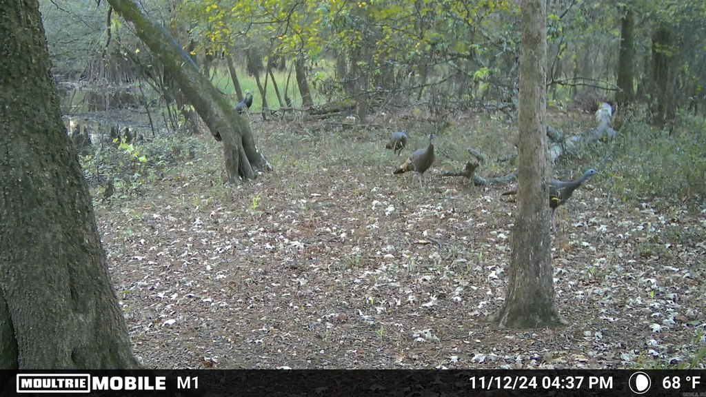 Picture 5